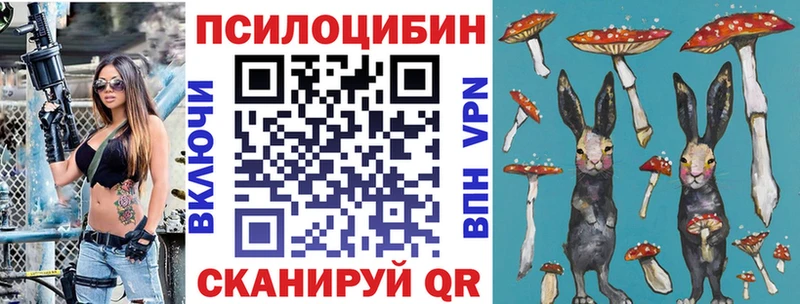 Псилоцибиновые грибы Cubensis  Большой Камень 